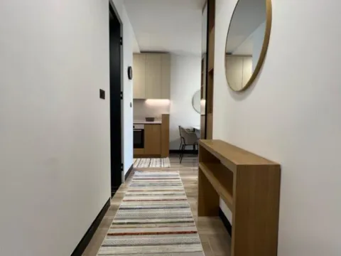 Izdavanje, jednosoban stan, 43m², Zagorič, Podgorica - image 3