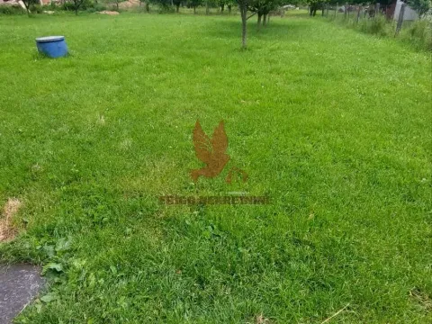 Prodaja, kuća, 214m², Mladenovac, Beograd - image 3