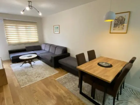 Izdavanje, jednosoban stan, 47m², Central Point, Podgorica - image 7