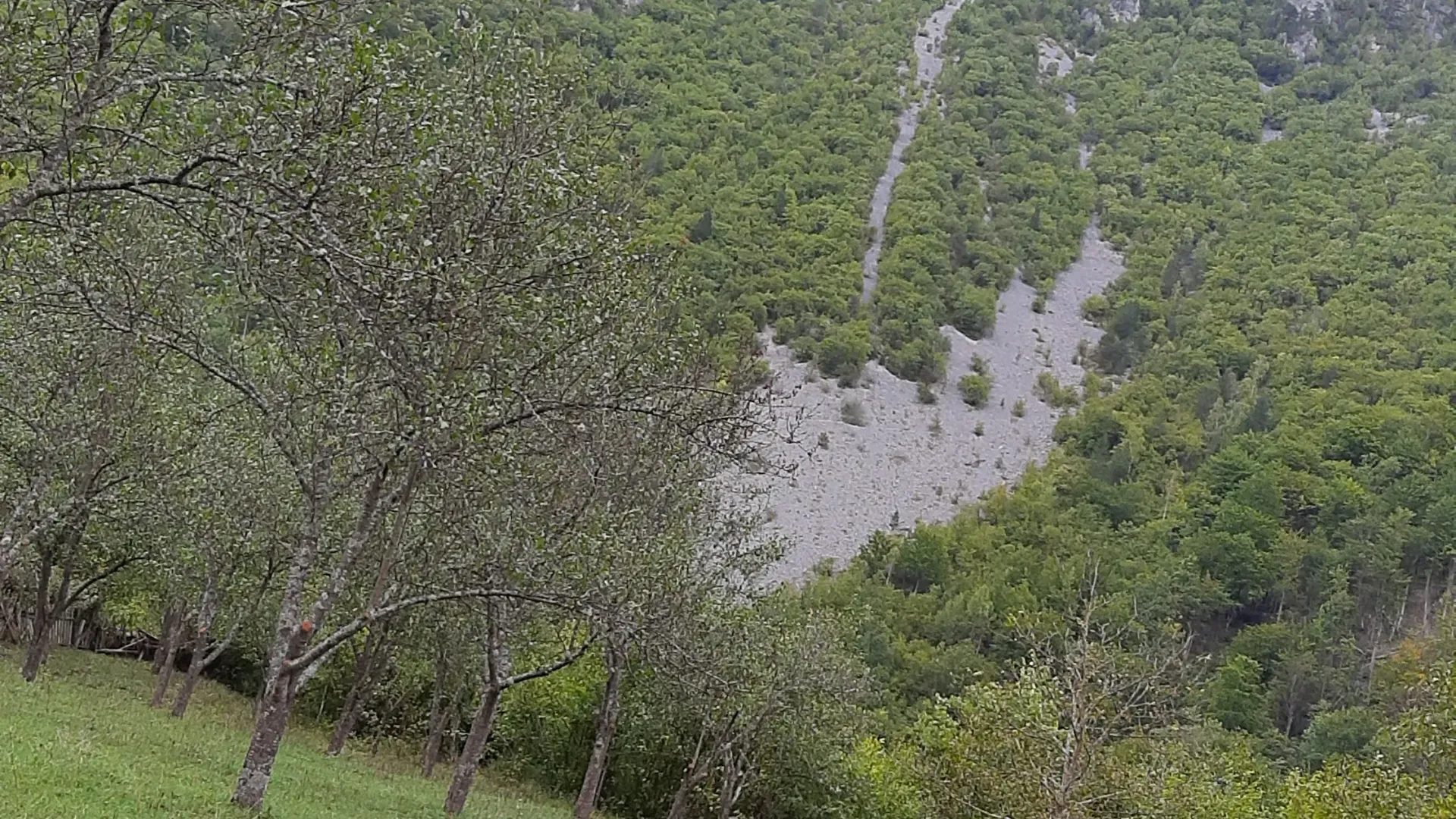Prodaja, plac, 4000m², Dobrilovina, Mojkovac