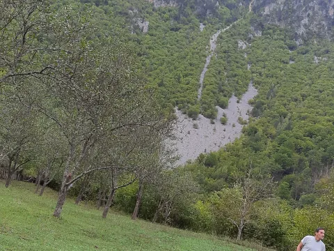 Prodaja, plac, 4000m², Dobrilovina, Mojkovac - image 5