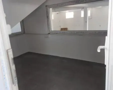 Izdavanje, poslovni prostor, 1500m², Batajnica, Beograd - image 16