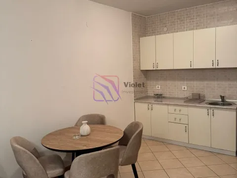 Izdavanje, jednosoban stan, 54m², Zagorič, Podgorica - image 14