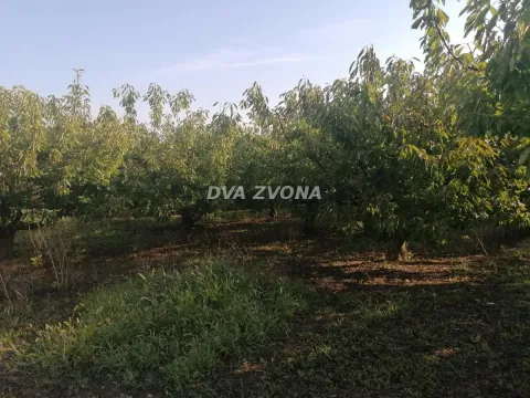 Sale, land lot, 114m², Krčedin, Inđija - image 3