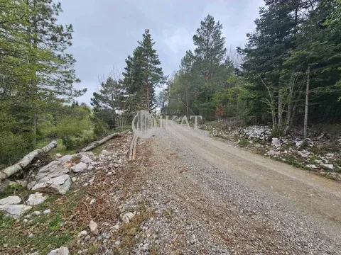 Sale, land lot, 500m², Tara, Srbija - image 10