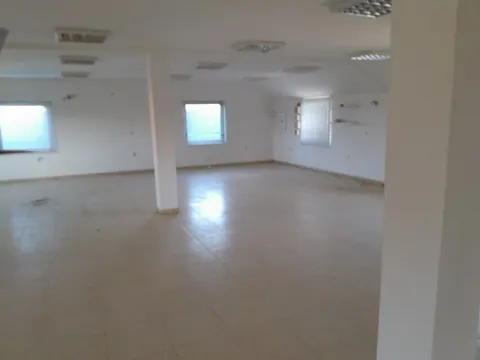 Prodaja, poslovni prostor, 860m², Veternik, Novi Sad Sve Podlokacije - image 7
