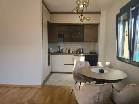 Izdavanje, jednosoban stan, 46m², Zabjelo, Podgorica - image 4