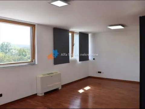 Izdavanje, kuća, 400m², Savski Venac, Beograd - image 15