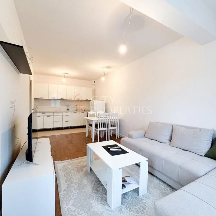 Rent, apartment, 43m², Zagorič, Podgorica