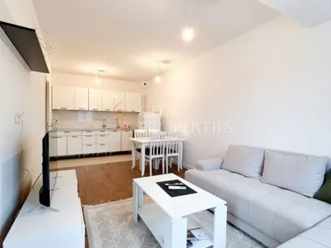 Rent, apartment, 43m², Zagorič, Podgorica - image 3