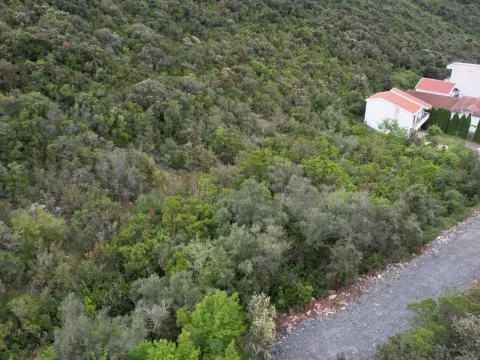 Prodaja, plac, 3585m², Krimovica, Kotor - image 13