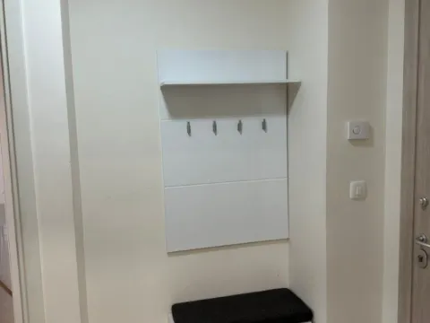 Izdavanje, jednosoban stan, 49m², Central Point, Podgorica - image 10