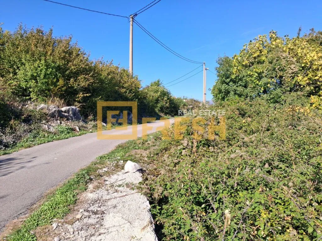 Pogled na asfaltni put i prirodu koja okružuje lokaciju.