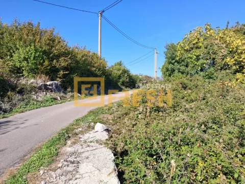 Pogled na asfaltni put i prirodu koja okružuje lokaciju. - image 3