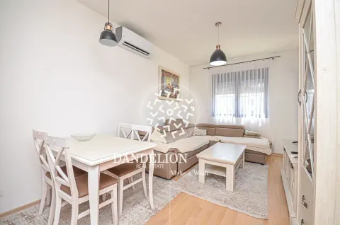 Rent, one bedroom apartment, 59m², Central Point, Podgorica - image 1055