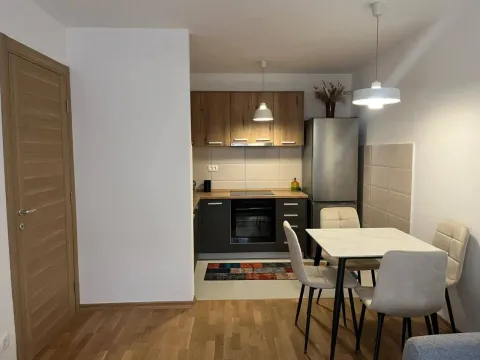 Rent, one bedroom apartment, 45m², Stari Aerodrom, Podgorica - image 4