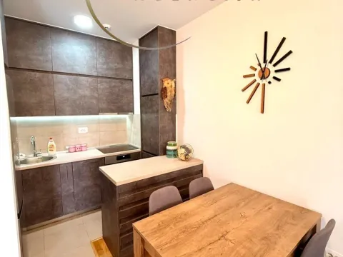 Rent, one bedroom apartment, 44m², City Kej, Podgorica - image 2