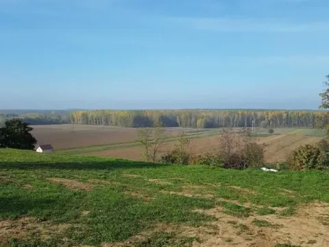 Prodaja, plac, 2400m², Rakovac, Novi Sad Sve Podlokacije - image 10