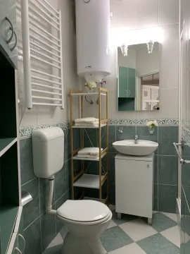 Functional bathroom featuring green and white tiles, sanitary ware, and a wooden shelf. - image 9