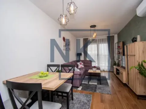 Izdavanje, jednosoban stan, 50m², Tološi, Podgorica - image 7