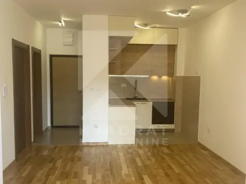 Rent, one bedroom apartment, 43m², Tuški Put, Podgorica - image 2