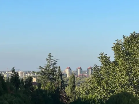 Prodaja, plac, 778m², Bocke, Petrovaradin - image 2