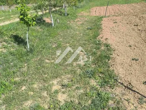 Prodaja, plac, 1400m², Sremska Mitrovica, Srbija - image 3