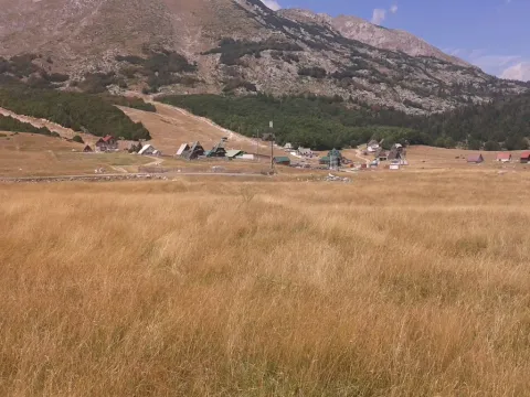 Zemljište in Motički gaj