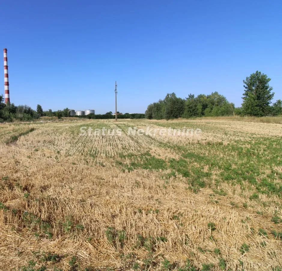 Sale, land lot, 6396m², Šangaj, Novi Sad Sve Podlokacije