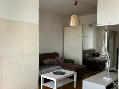 Izdavanje, garsonjera, 28m², Zabjelo, Podgorica - image 4