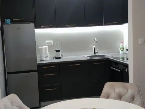 Rent, one bedroom apartment, 49m², Central Point, Podgorica - image 2