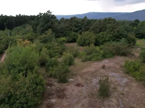 Prodaja, plac, 8484m², Martinići, Danilovgrad - image 6