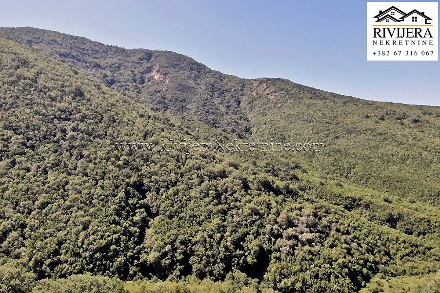 Prodaja, plac, 38868m², Zelenika, Herceg Novi