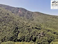 Sale, land lot, 38868m², Zelenika, Herceg Novi - image 12