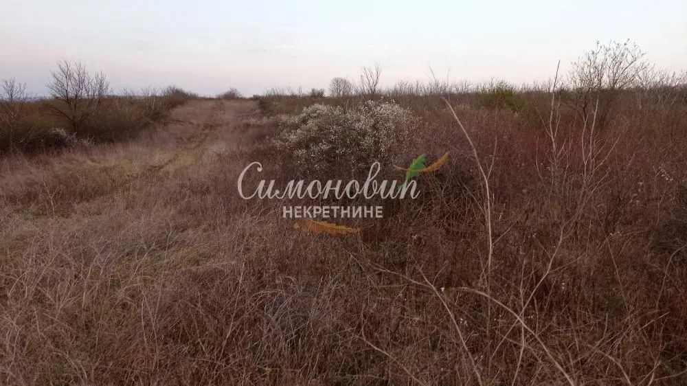 Sale, land lot, 7800m², Železnik, Beograd