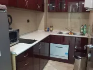 Izdavanje, poslovni prostor, 215m², Botanička Bašta, Palilula Sve Podlokacije - image 8