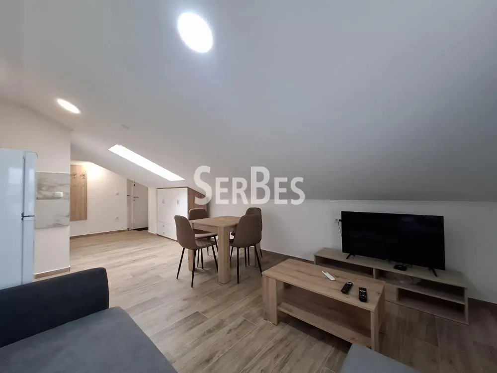 Izdavanje, stan, 25m², Adice, Novi Sad Sve Podlokacije