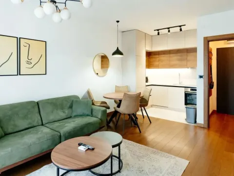 Rent, one bedroom apartment, 48m², Ljubović, Podgorica - image 1