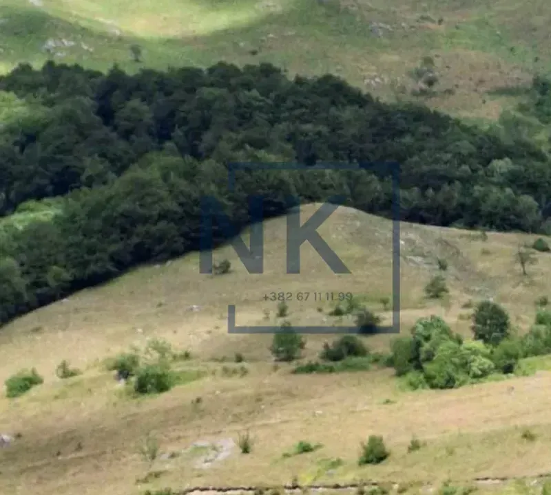 Sale, land lot, 162000m², Međuriječje, Kolašin