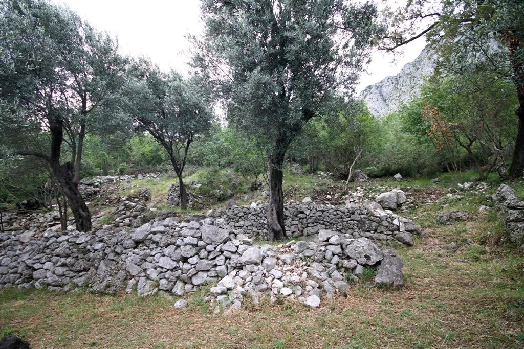Prodaja, plac, 2650m², Reževići, Budva