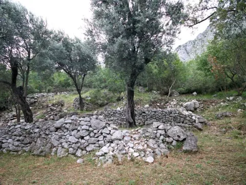 Prodaja, plac, 2650m², Reževići, Budva - image 3