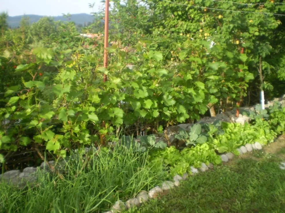 Prodaja, kuća, 100m², Kalimanj, Tivat
