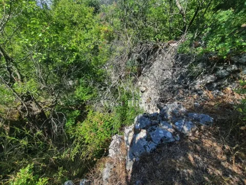 Prodaja, plac, 14000m², Pečurice, Bar - image 8