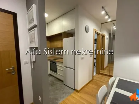 Izdavanje, dvosoban stan, 39m², Vračar Sve Podlokacije, Beograd - image 4