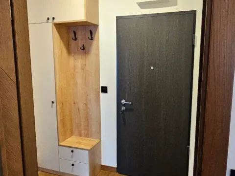 Izdavanje, jednosoban stan, 48m², Ljubović, Podgorica - image 4