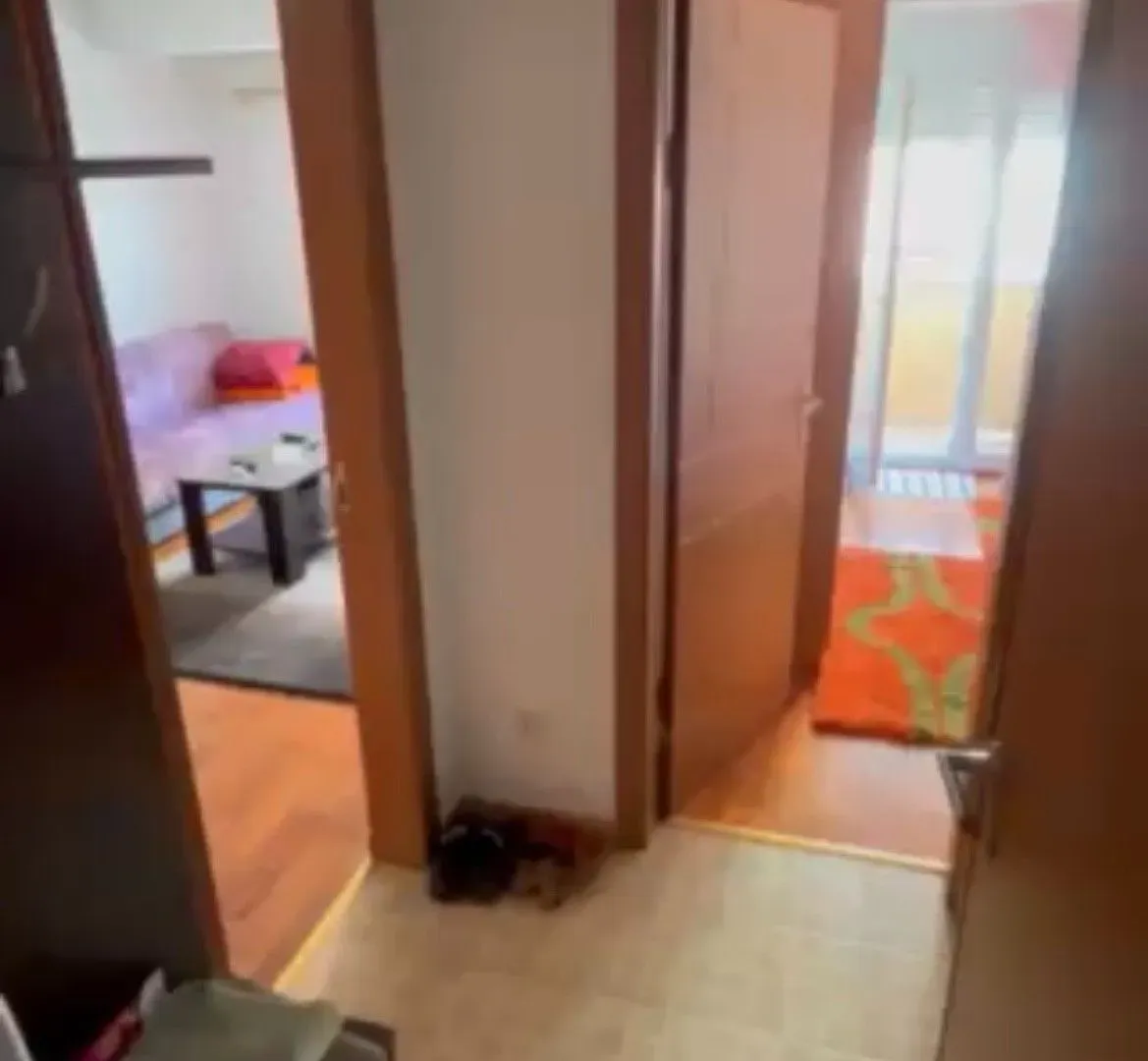 Rent, one bedroom apartment, 40m², Zabjelo, Podgorica