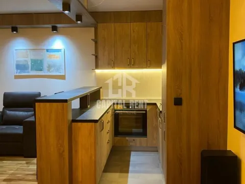 Rent, one bedroom apartment, 47m², Ledine, Beograd - image 6