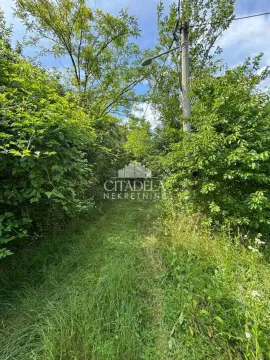 Zarasli plac sa drvećem i rastinjem. - image 4