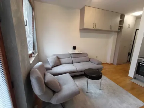Smaller living room with a grey sofa set, an armchair, and hardwood flooring. - image 8