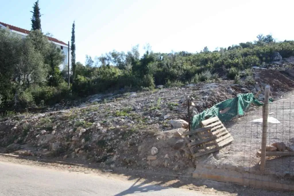 Pogled na plac i okolno rastinje pored puta.